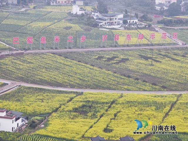  镜头述说变化 影像振奋精神｜泸县举办“看家乡变化”主题摄影比赛