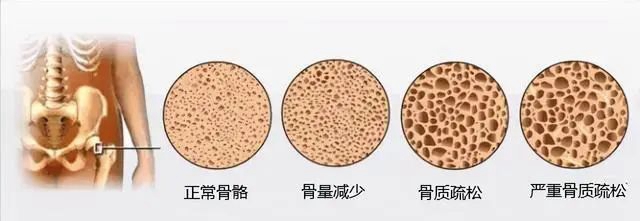 微信图片_20240307091200.jpg