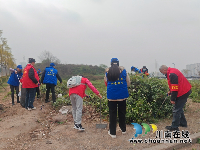 志愿者清理垃圾 (3).jpg