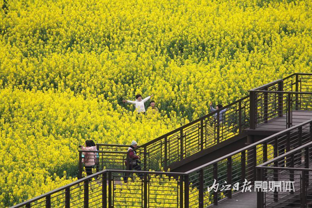 微信图片_20240311102442.png