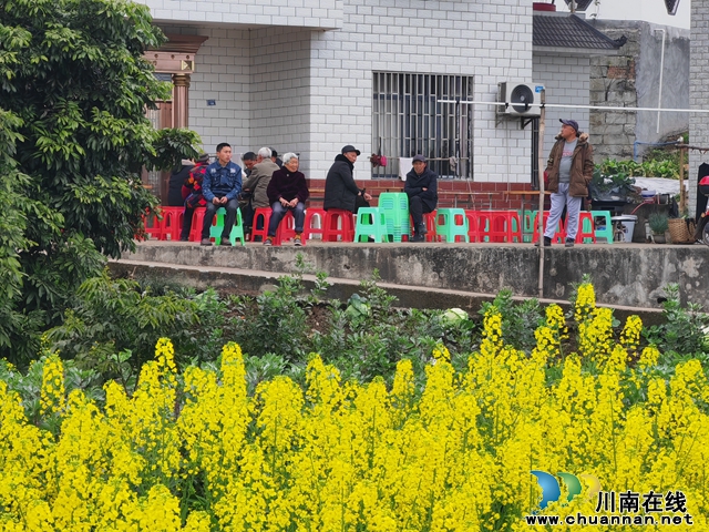 油菜花开，农家生意火（曾佐然摄）.jpg
