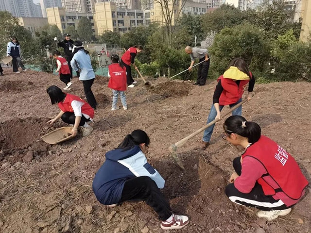 “植”此青绿 看泸州师生变身“绿化大师”(图4) 4.jpg