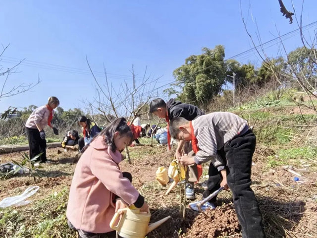 “植”此青绿 看泸州师生变身“绿化大师”(图10) 10.jpg