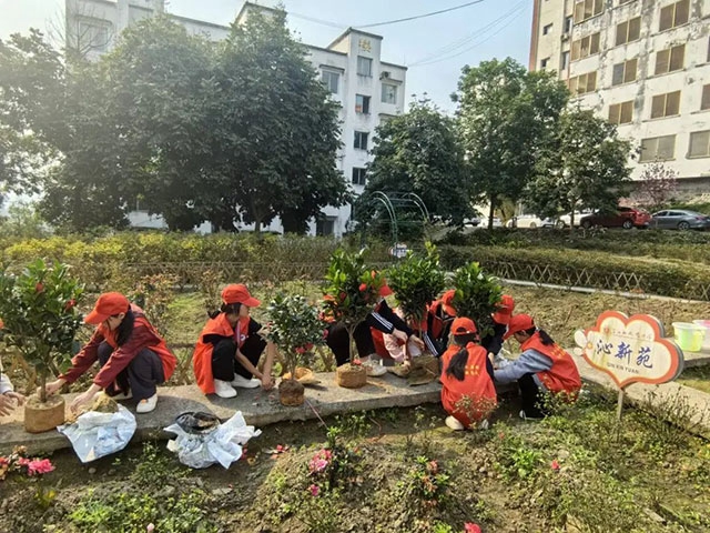 “植”此青绿 看泸州师生变身“绿化大师”(图19) 19.jpg