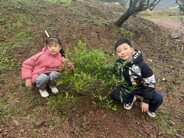 “植”此青绿 看泸州师生变身“绿化大师”(图21) 21.jpg