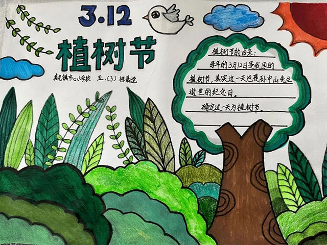 “植”此青绿 看泸州师生变身“绿化大师”(图40) 40.jpg