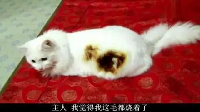 微信图片_20240313085445.jpg
