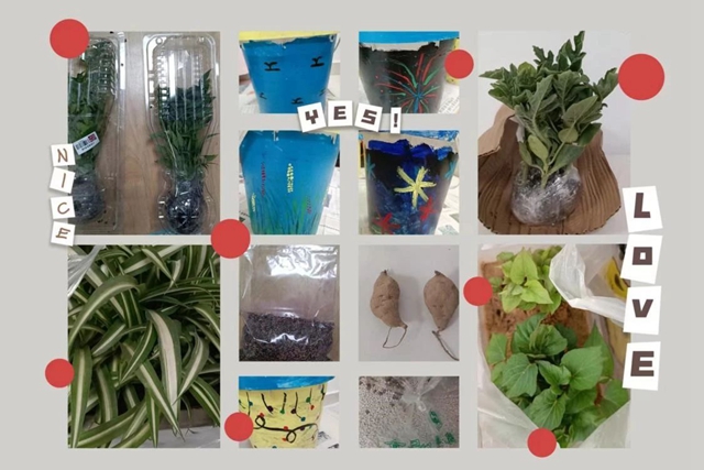 萌宝出动,为绿充“植”!泸州市人医发育行为中心开展植树节活动(图7) 微信图片_20240315144206.jpg