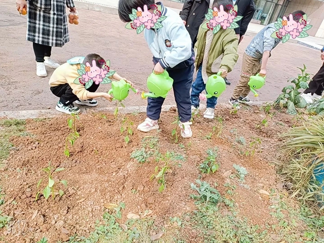 萌宝出动,为绿充“植”!泸州市人医发育行为中心开展植树节活动(图9) 微信图片_20240315144215.jpg