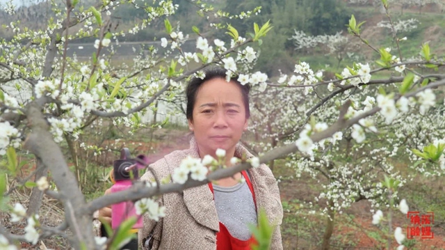 微信图片_20240318101919.jpg