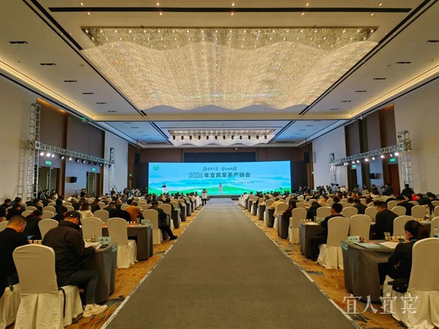 2024年宜宾早茶产销会在高县举行