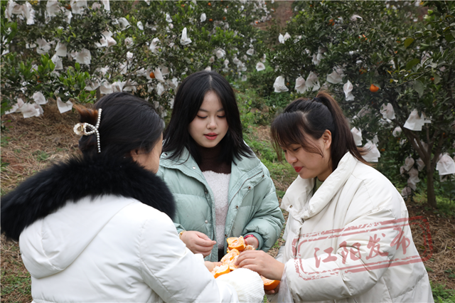 微信图片_20240319102822.png