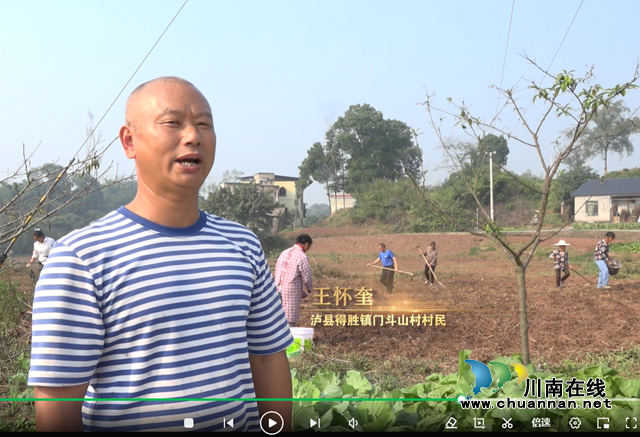 钟丽:搭建就业服务“双向奔赴”平台,守护民心助农增收(图2) 四川民鑫劳务专合社社员王怀奎在得胜镇门斗山村务工现场接受媒体采访.png