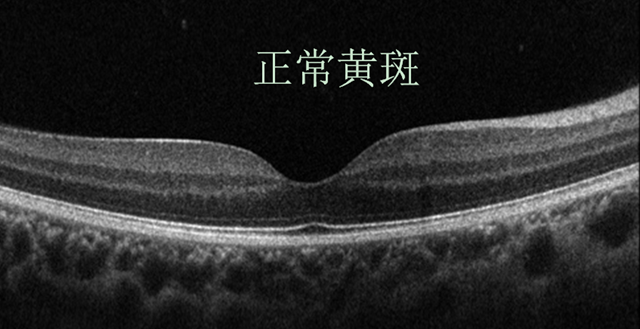 微信图片_20240321091225.png