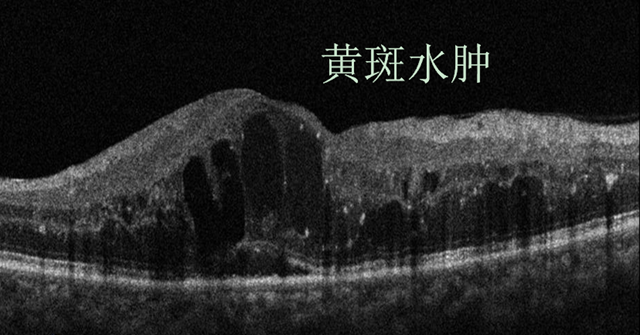 微信图片_20240321091229.png