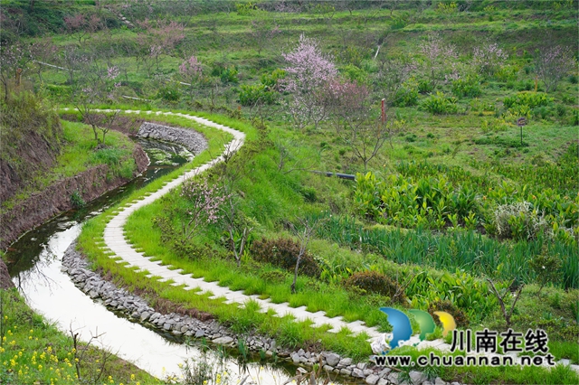 泸县百和镇这所学校把课堂搬进了大自然!(图2) 07a50c4b3a36ee75b1846c640709db5.jpg