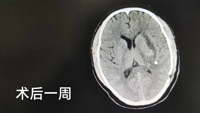 微信图片_20240322094341.jpg
