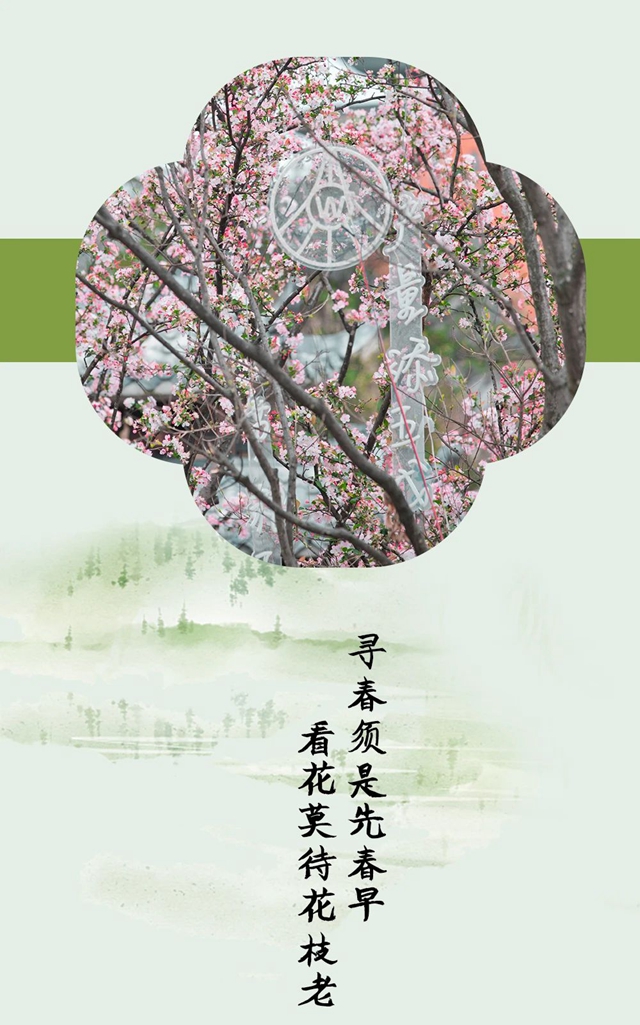 微信图片_20240325102309.jpg