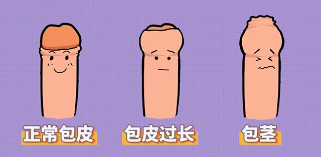 微信图片_20240326104229.png