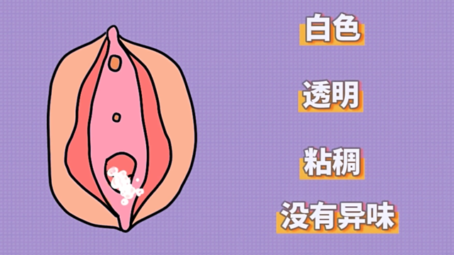 微信图片_20240326104319.png