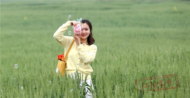 微信图片_20240327105954.jpg