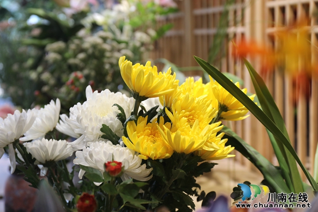 6花店里的菊花.JPG