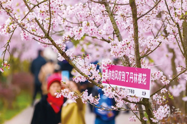 ​5条线路春夏秋冬不重样！深度游泸州，这才是正确打开方式→