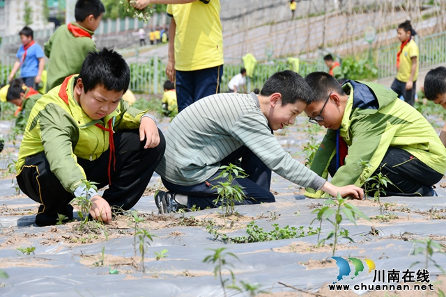 学生在除草.jpg