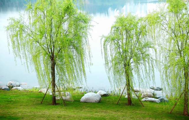 微信图片_20240415090823.jpg