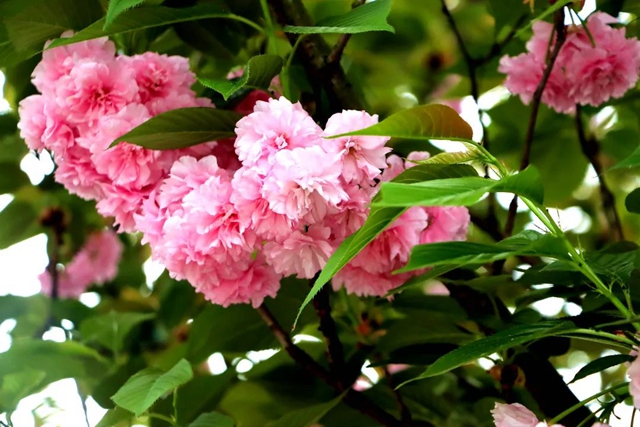 微信图片_20240415090829.jpg