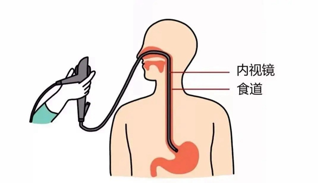 微信图片_20240415084921.jpg