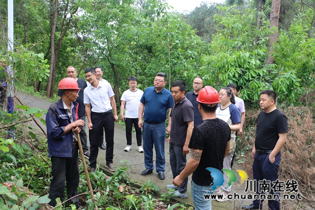 四川省林业和草原局到泸县立石镇督导松材线虫病防控工作