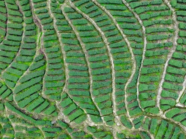 微信图片_20240419095938.jpg