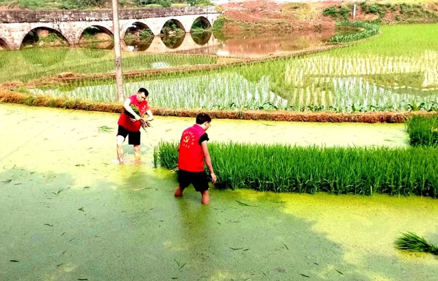 微信图片_20240419092326.jpg