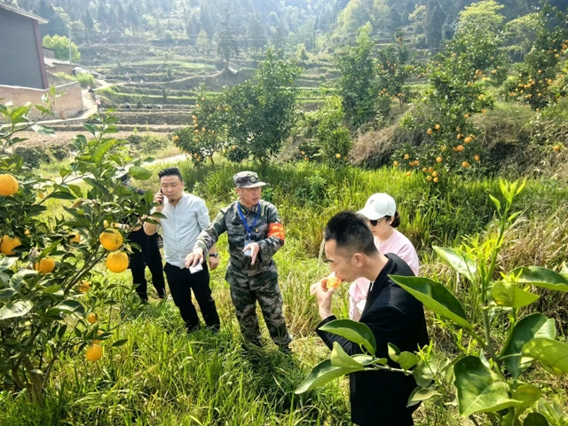 果６.jpg