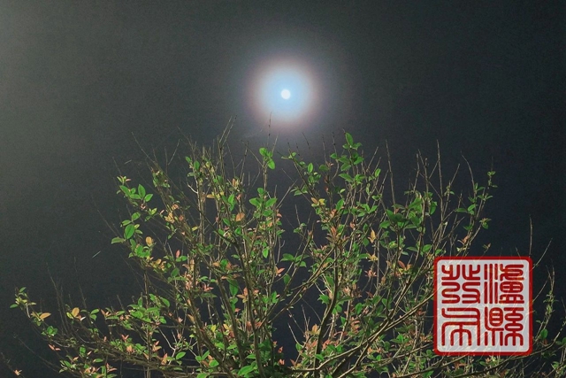 微信图片_20240423111037.jpg