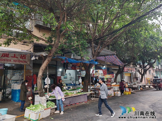 龙马潭区小市街道下大街社区： 树木修枝消隐患，解群众急难愁盼