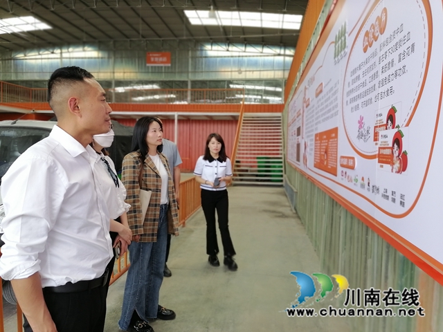 泸县资中县两地喜牵手，共促劳务品牌提档升级