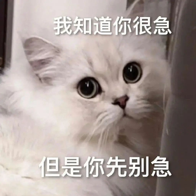 微信图片_20240425091807.jpg