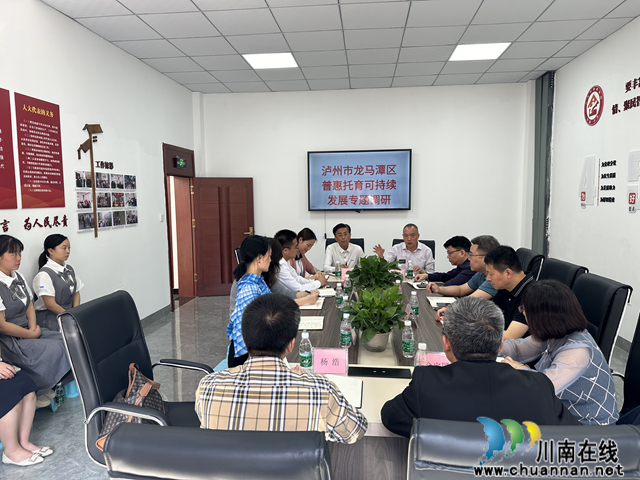 龙马潭区人大实地调研杜家街社区托育工作