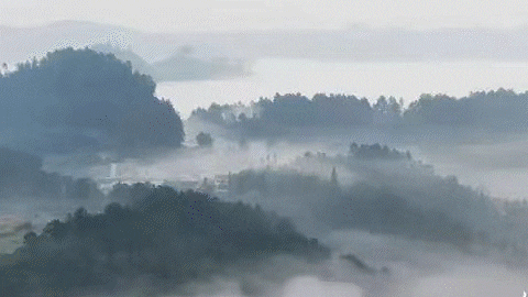 微信图片_20240428095242.gif