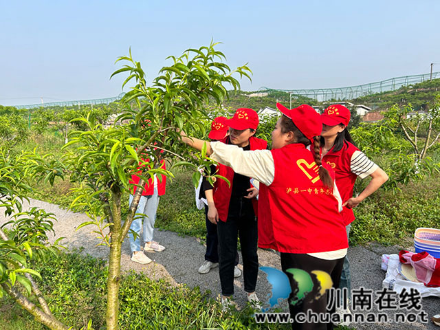 讲解.jpg