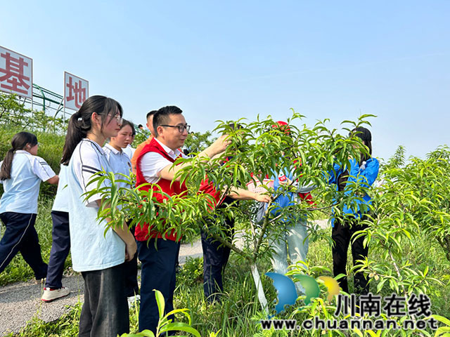 杨书记4.jpg