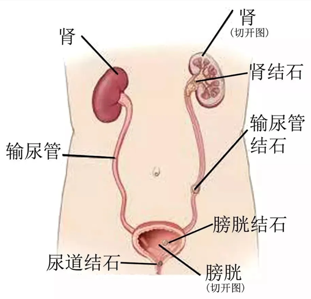 微信图片_20240507102855.png