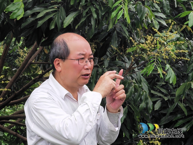 专家郑少泉现场讲解（曾佐然摄）.jpg