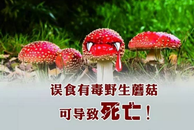 微信图片_20240510100829.png