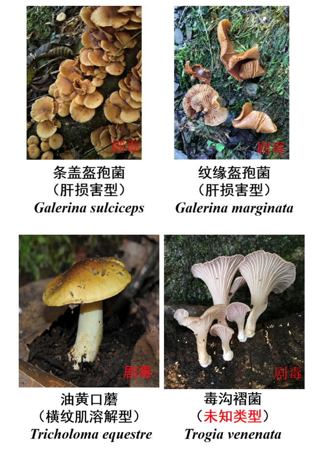 微信图片_20240510100855.png
