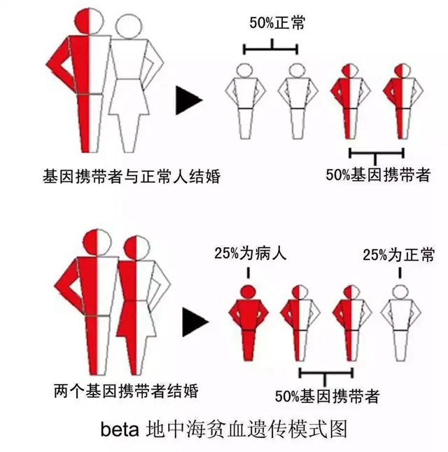 【关注】7岁小女孩每月靠输血维生!这病遗传率 50%!(图4) 微信图片_20240511093324.jpg