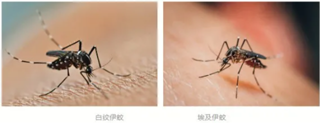 微信图片_20240516093702.png