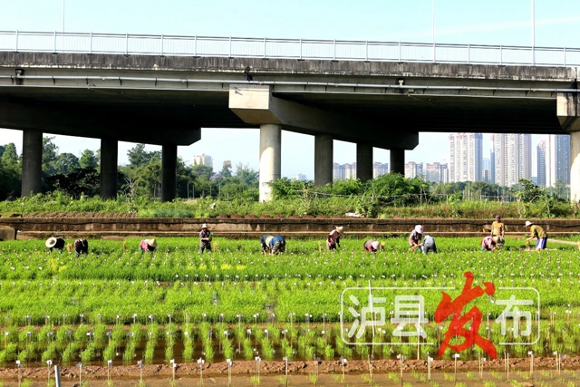 微信图片_20240516111530.jpg